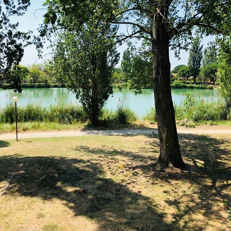 Appartement 239 Les Salicornes Αρλ Εξωτερικό φωτογραφία